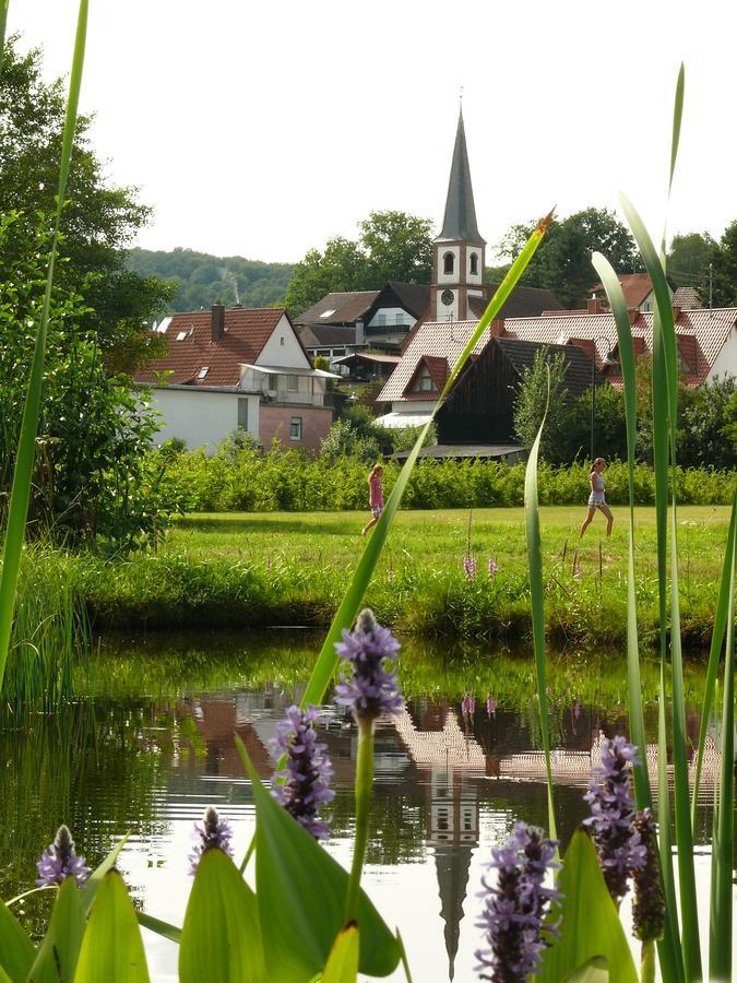 ホテル Blick Zum Maimont Ludwigswinkel エクステリア 写真