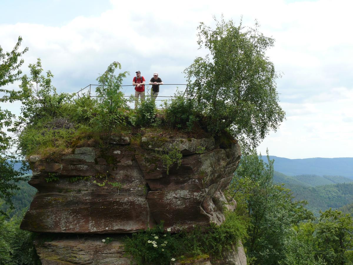ホテル Blick Zum Maimont Ludwigswinkel エクステリア 写真