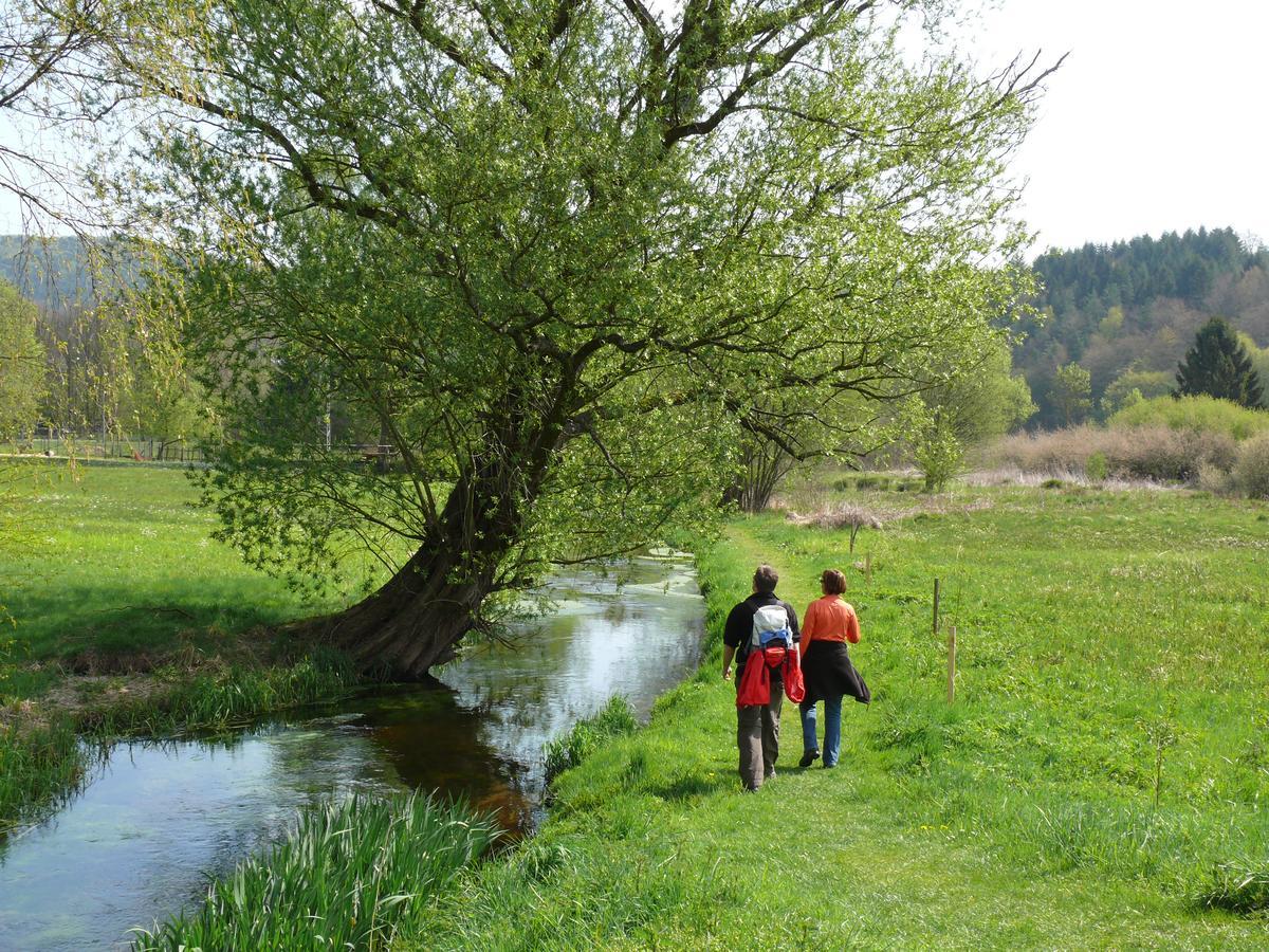 ホテル Blick Zum Maimont Ludwigswinkel エクステリア 写真