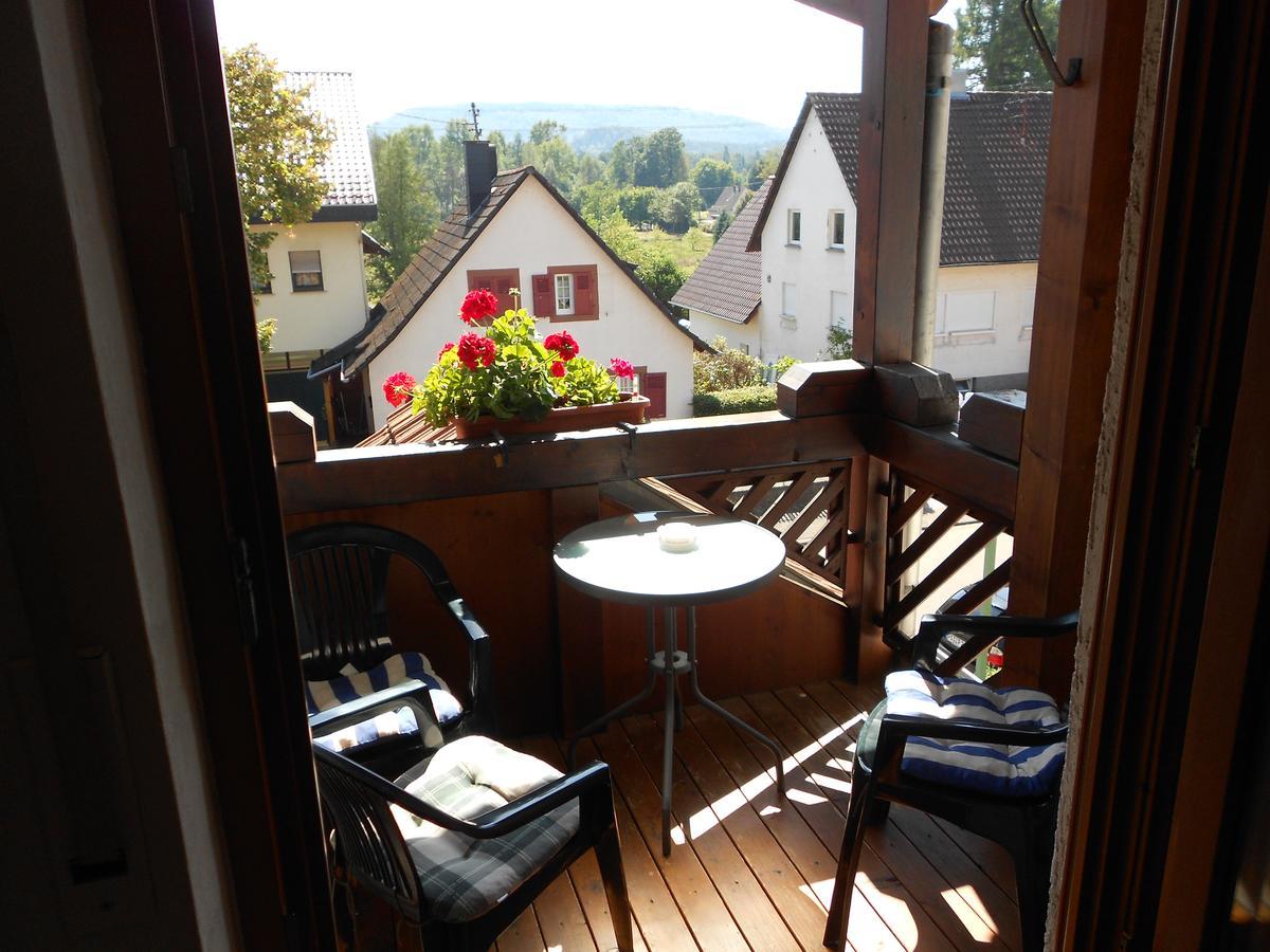 ホテル Blick Zum Maimont Ludwigswinkel エクステリア 写真