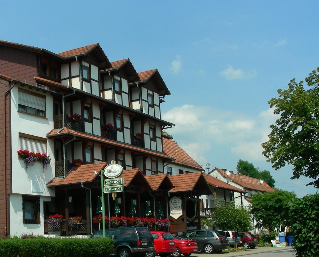 ホテル Blick Zum Maimont Ludwigswinkel エクステリア 写真