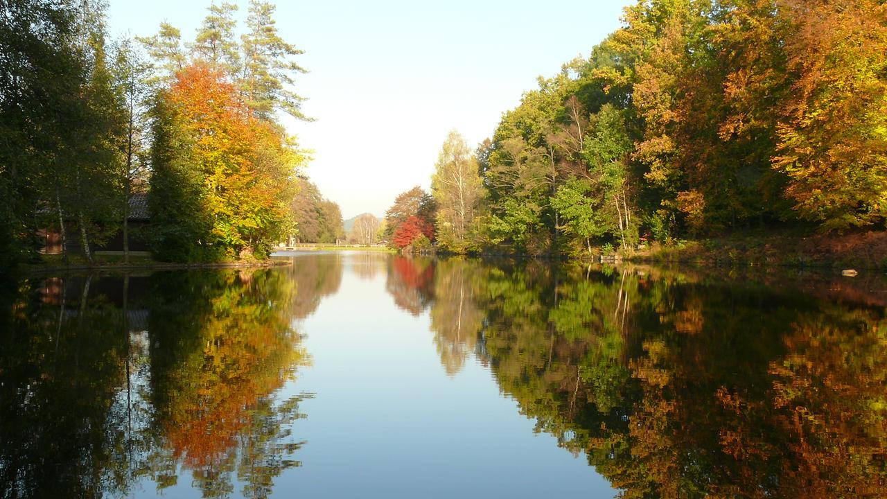 ホテル Blick Zum Maimont Ludwigswinkel エクステリア 写真