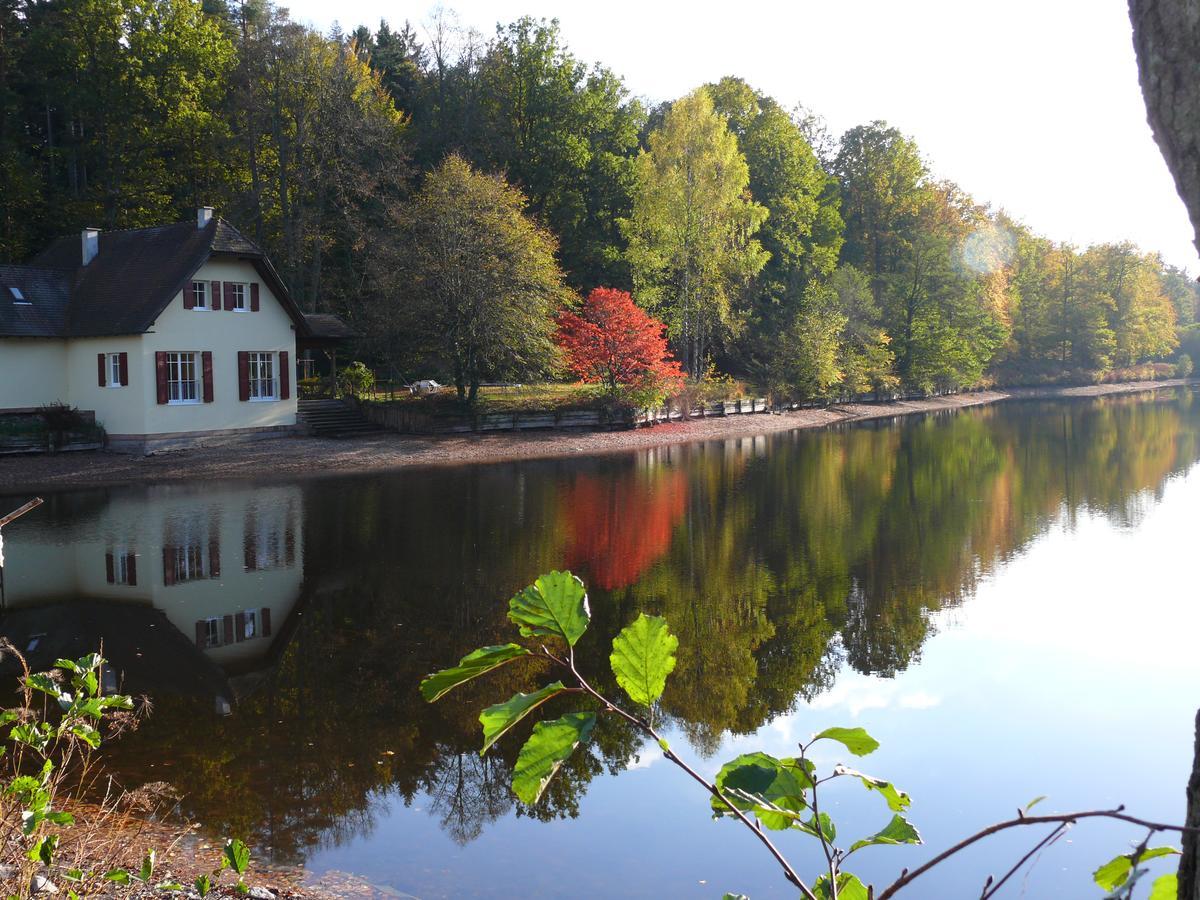 ホテル Blick Zum Maimont Ludwigswinkel エクステリア 写真