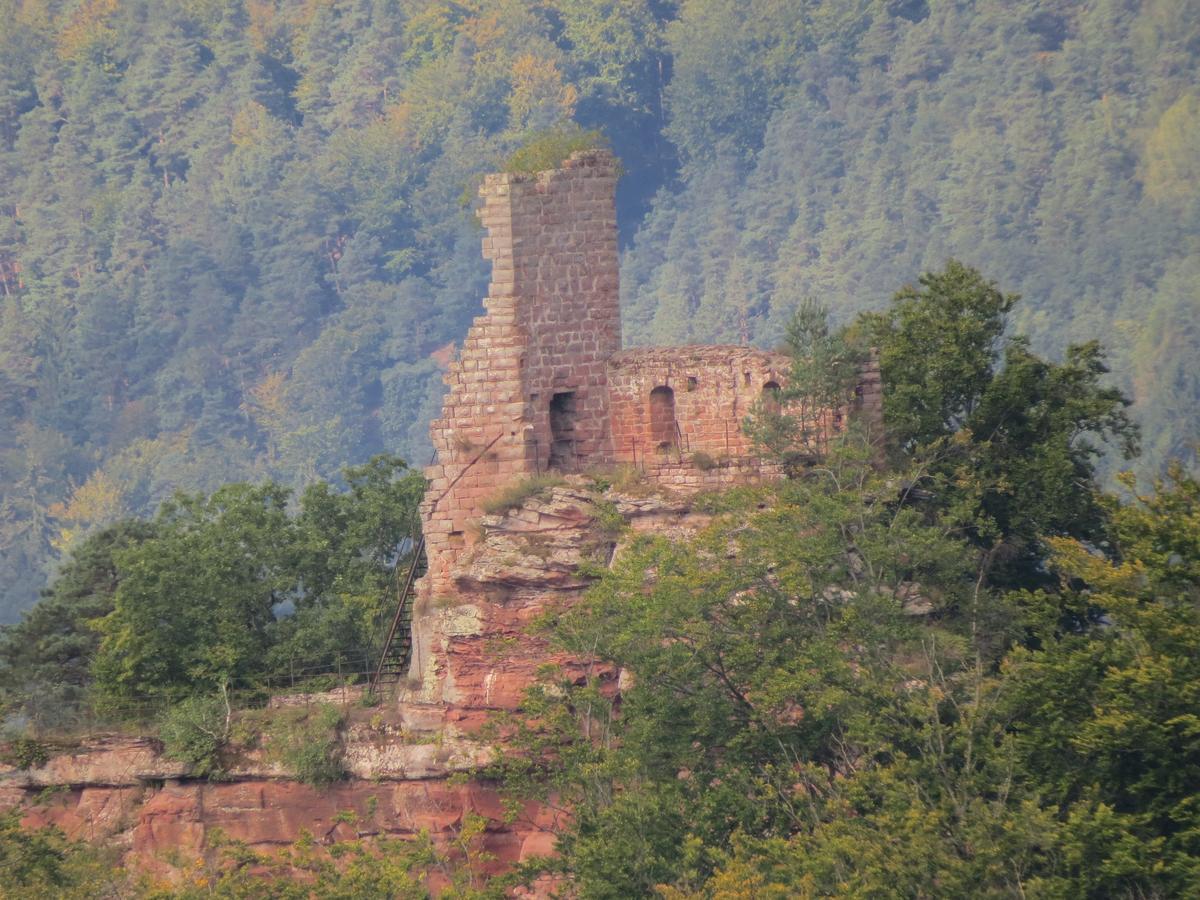 ホテル Blick Zum Maimont Ludwigswinkel エクステリア 写真